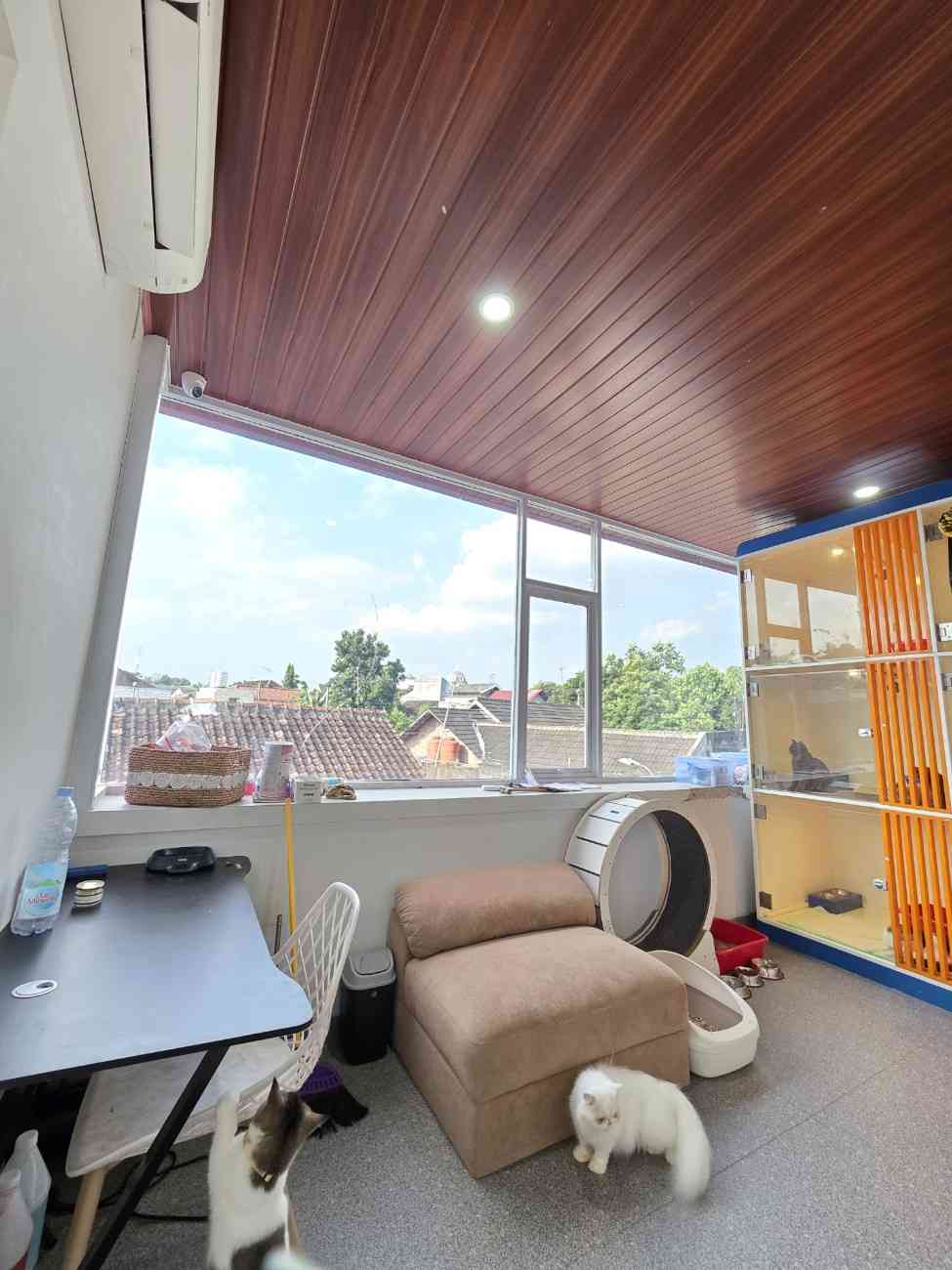 WhatsAppImage2025-12-03at08.18.551