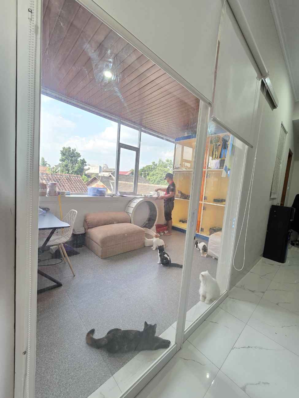 WhatsAppImage2025-12-03at08.18.56