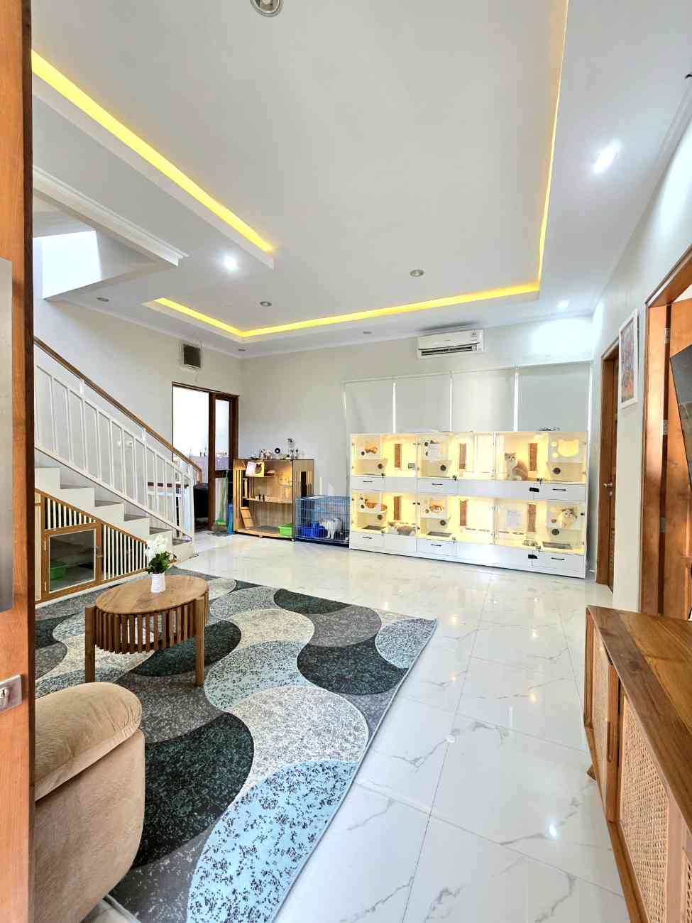 WhatsAppImage2025-12-03at08.18.59