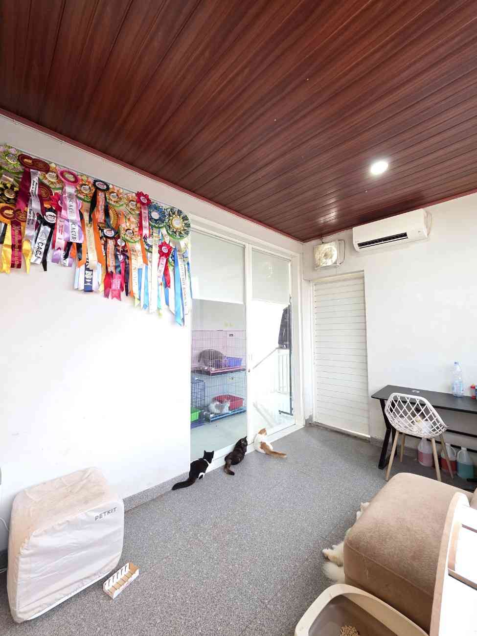 WhatsAppImage2025-12-03at08.19.01