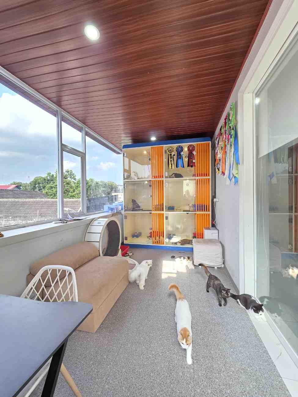 WhatsAppImage2025-12-03at08.19.032