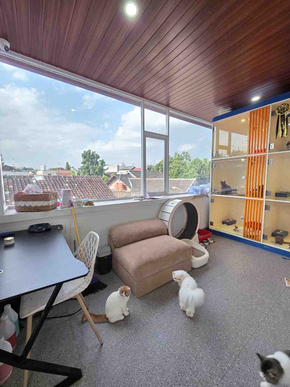 WhatsAppImage2025-12-03at08.19.04